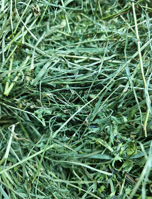 luzerene mix bt